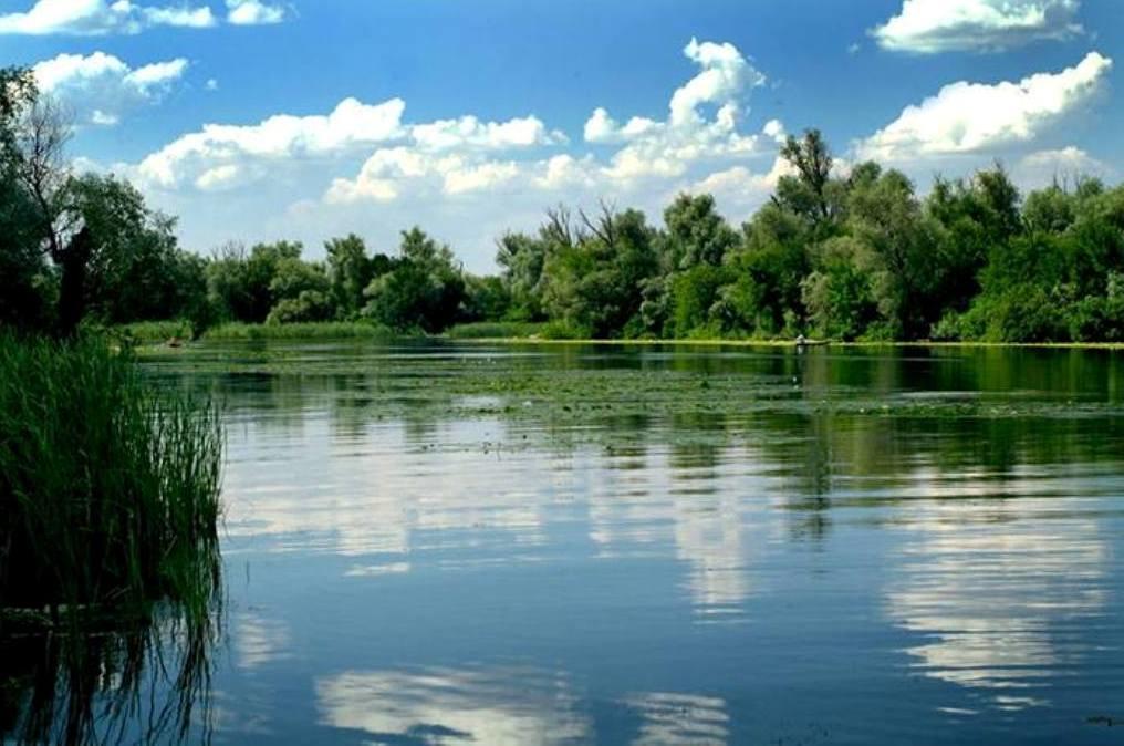 Sagunovka Family Complex Ekokomfort المظهر الخارجي الصورة